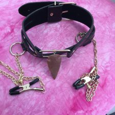 Submissive Collar with Gold Nipple tention clamps Dominant